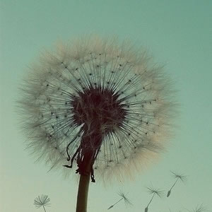 程序员必懂的Redis技术实战