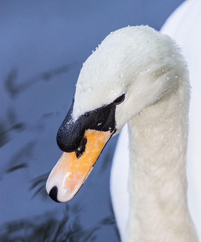 一个利用Oracle表的主外键关系实现级联删除的实例