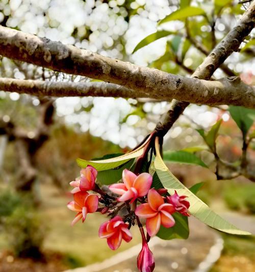 如何利用Libguestfs修复受损虚拟机？